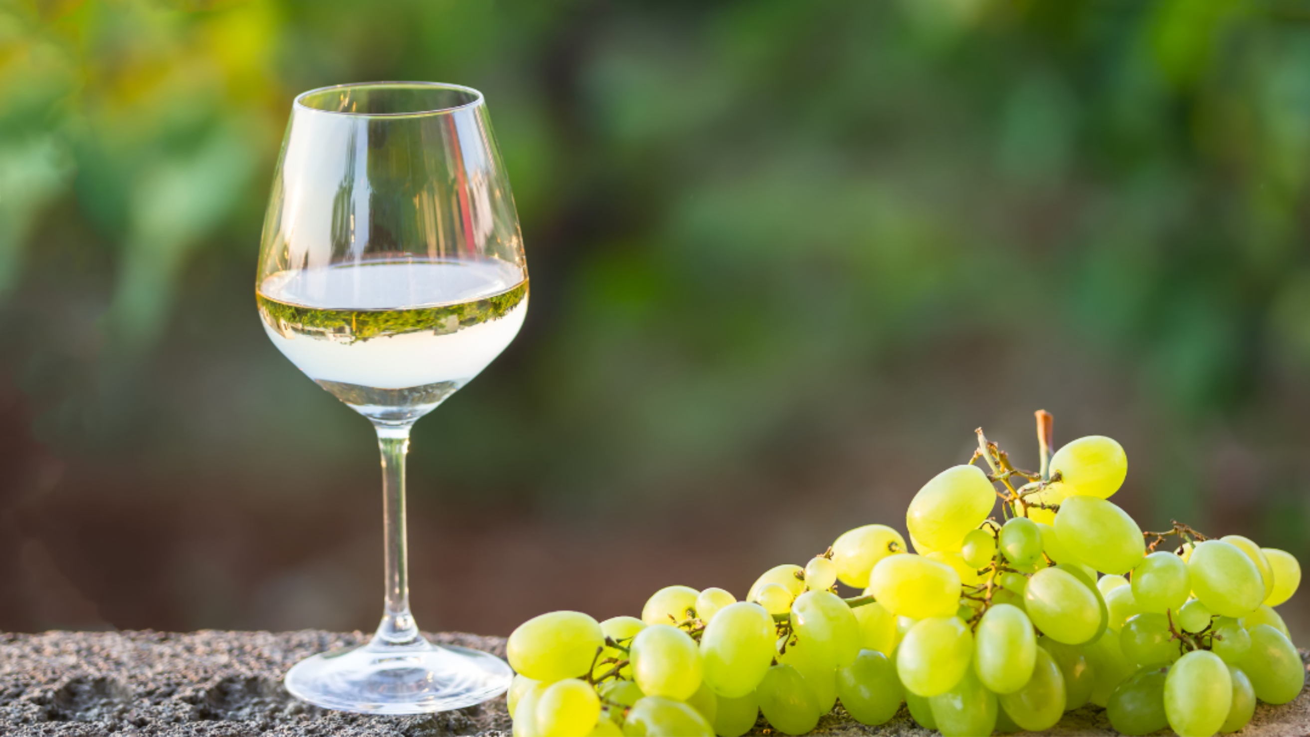 Séminaire vin : L’Univers du Vin Blanc